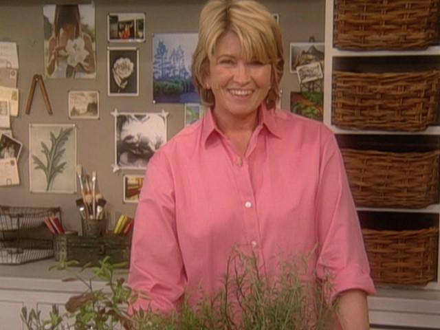 Fiesta: Tomato Salsa; Tropical Salsa; Perfect Margarita