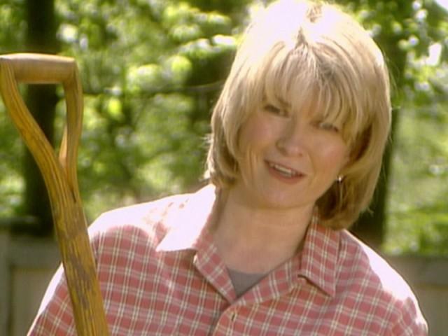 Cookie of the Week: Mocha Cigar; Sowing Carrots