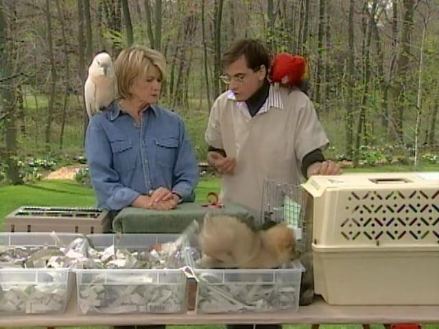 Traveling With Pets; Cat Scratching Post; Bunnies 101