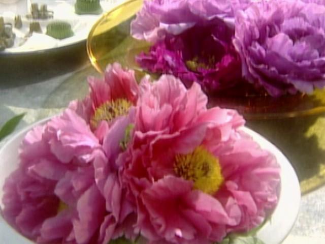 Succulent Pots; Chocolate Bread at Balthazar Bakery