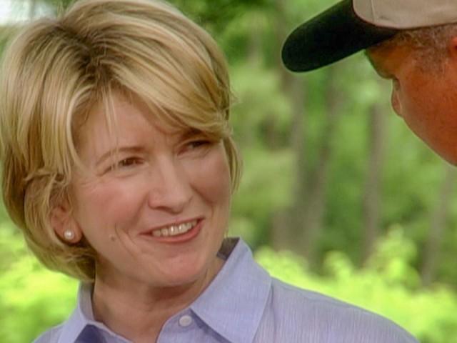 Gate's BBQ Ribs; Star-Shaped Shortcakes With Berries