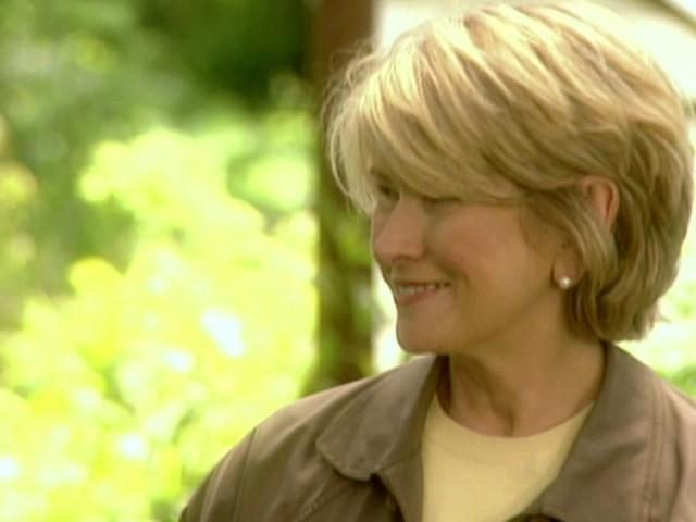 Washington State: Bloedel Moss Garden; Heronswood Nursery