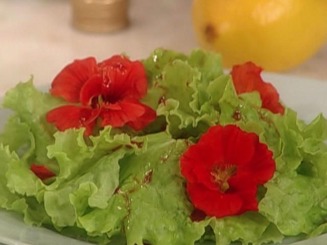 Radish and Fennel Salad; Travel First Aid Kit; Watering