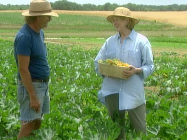 Farm Stand Cooking (Field Trip)