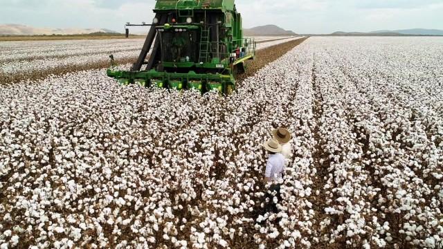 Episode Twenty Eight