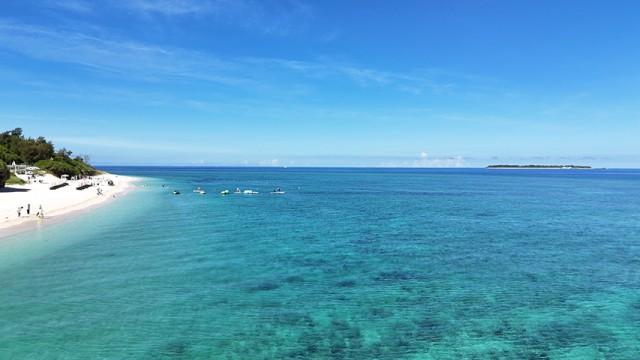 沖縄に新市場をつくる! 〜密着3年 ジャングリア〜