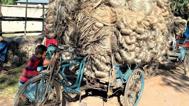 Yute: la fibra de oro de Bangladés