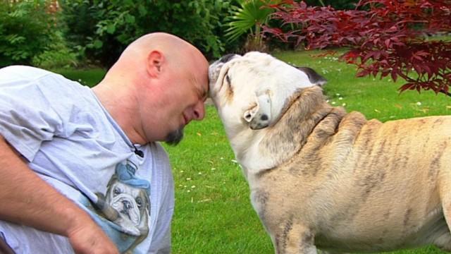 Hunde-Pool für Papas Liebling (2)