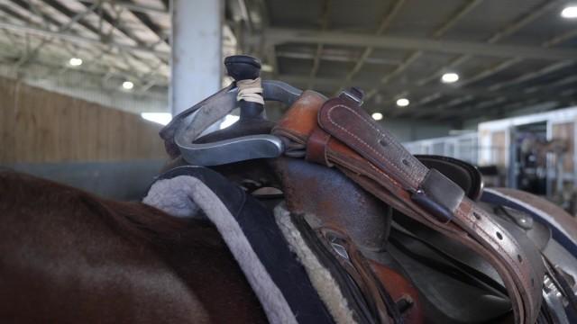 Episode Thirty Seven