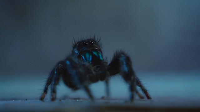 Chapter Two: Trapped