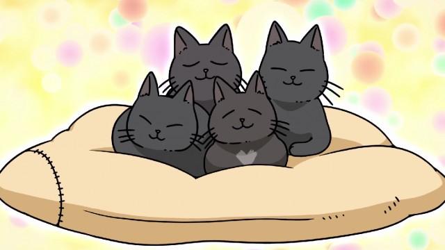 Long live dogs and cats!