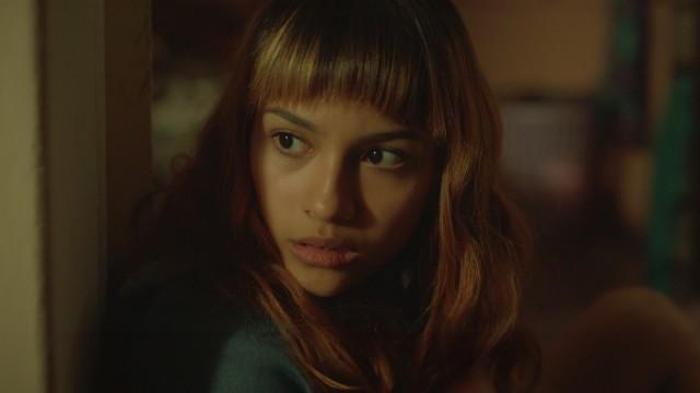 The Rebirth Of The Dog