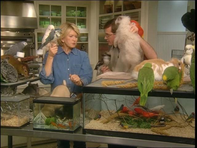 Birdfeeders; Seed Mixes; Honey Whole Wheat Bread