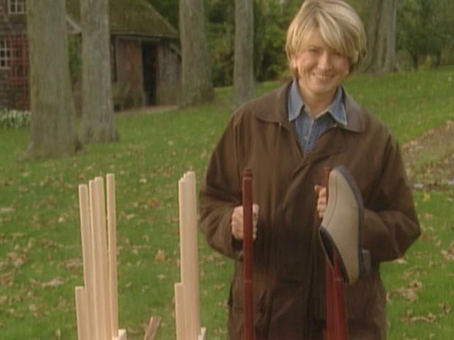 Forcing Bulbs; Eggplant Parmigiana; Collecting Snow Globes