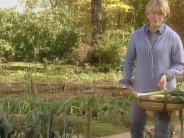 Herbs from Seed; Harvest Soup; Wild Rice Cakes
