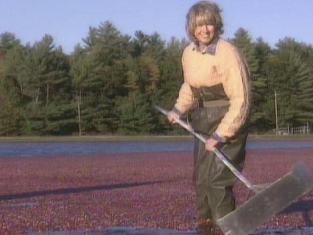 Thanksgiving Raisin Pie; Gourd Candles; Polish Mushroom Soup