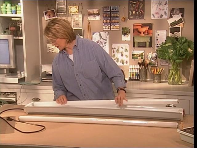 Seed Starting Kit; Grow Lights; Warm Wheatberry Salad