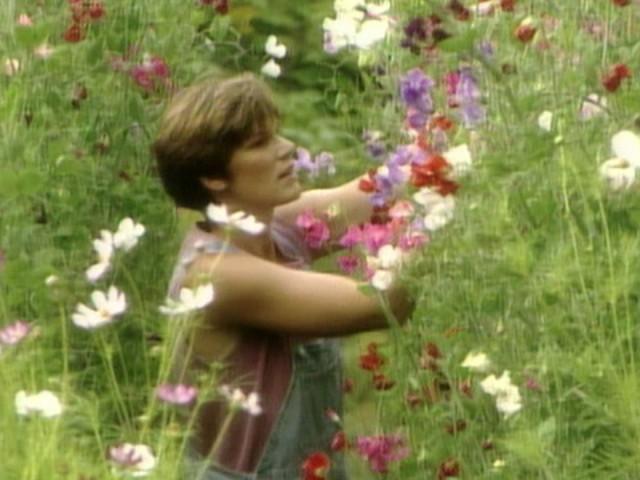 Heronswood Woodland Garden; Simple Edging; Watering Pots