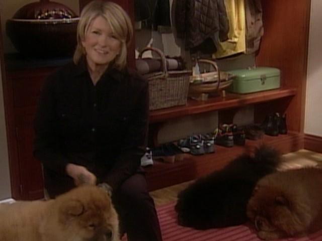 Westminster Dog Show; Sausage Rigatoni; Confetti Squares