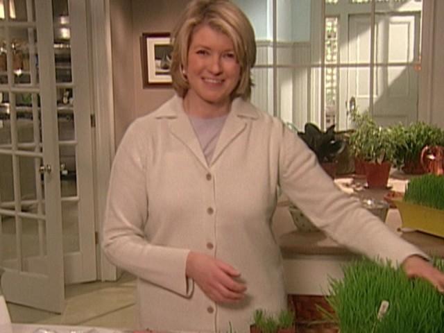 Tangerine Souffle with Strawberry Orange Sauce