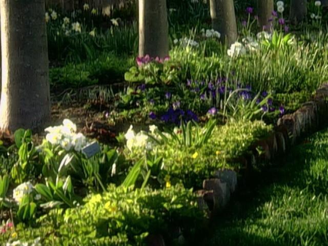 Soil Test Kit; Shopping for Plants; Herb Pots, Aging Pots