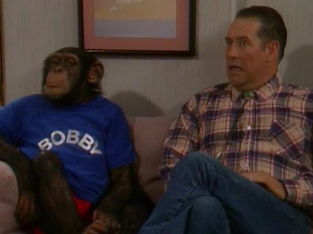 Bobby the Chimp