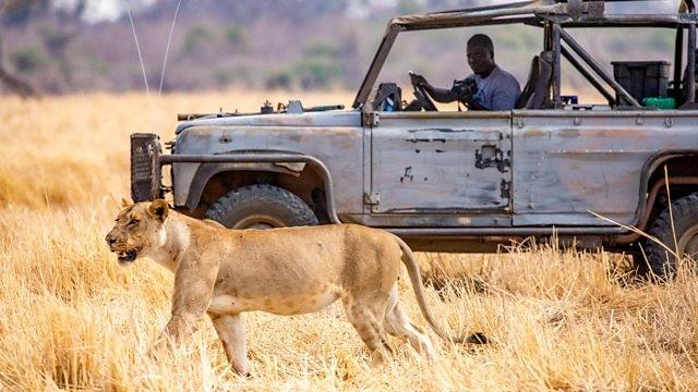 The Secret Story of Kingdom