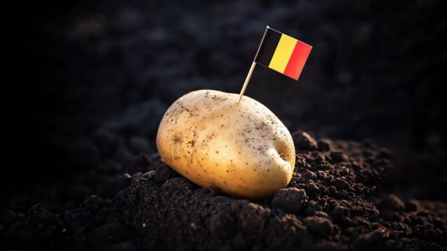 De prijs van de patat