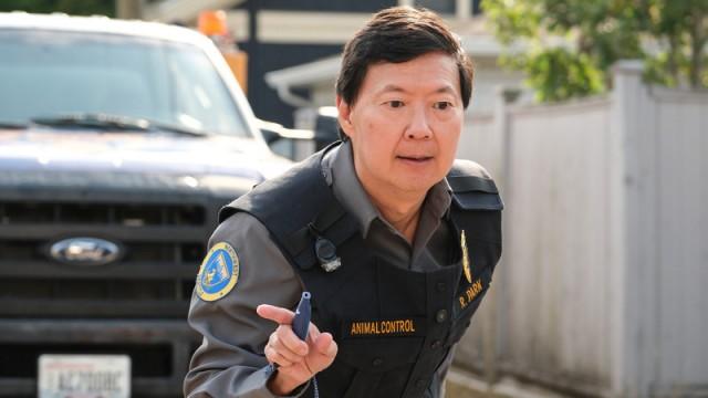 Bagged Birds and Alley Dogs