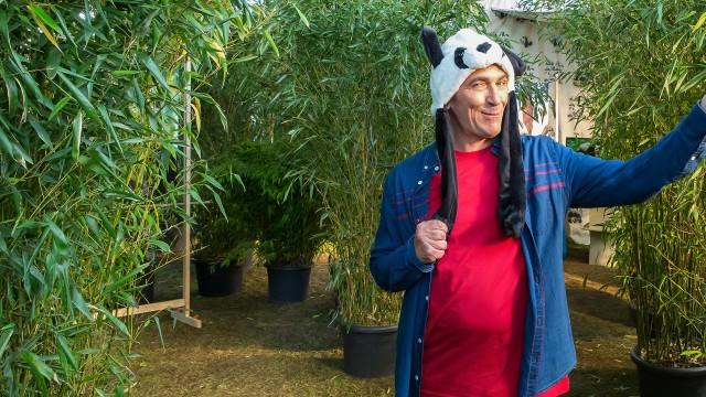 S44E13 - Panda – Bambus-Chaos in Bärstadt