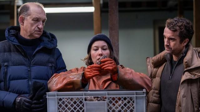 Sievers und die stillen Austern