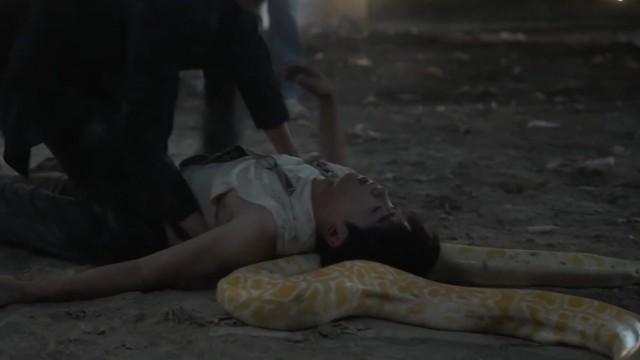 逆愛花絮|20240725