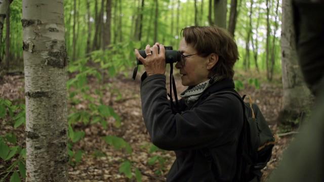 Désextinction: le retour des disparus