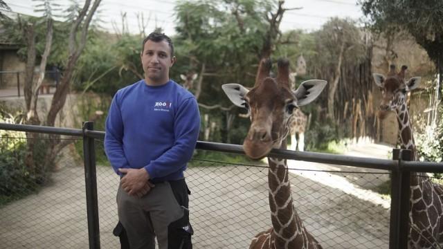 Zu viele Tiere im Zoo – Wie geht moderner Artenschutz?
