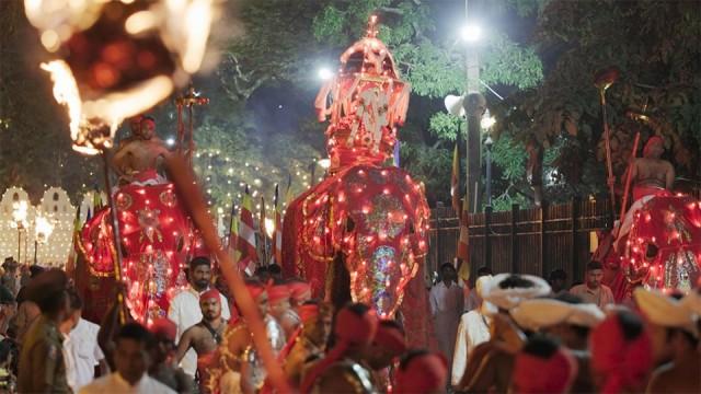スリランカの秘宝と100頭のゾウの祭り
