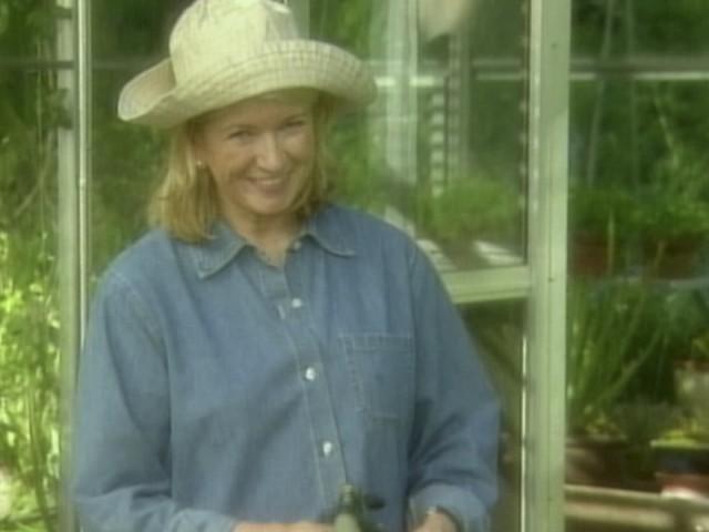 Starting a Vegetable Garden
