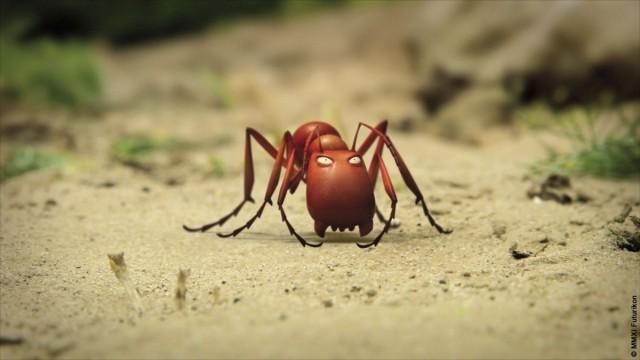 Божьи коровки