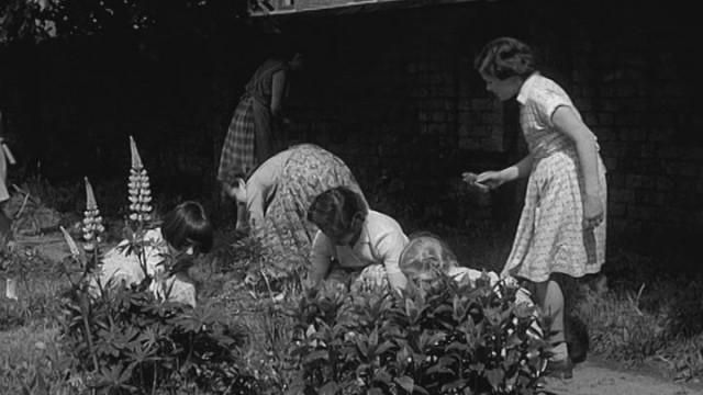 Care of St Christopher's