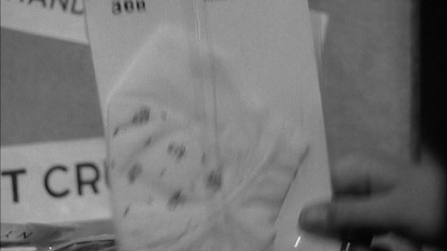 Lost, Stolen, Damaged