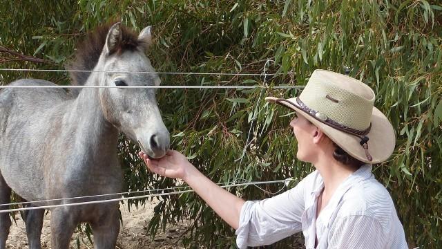 Die Drachen von Bali