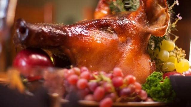 Tauranga: June & Steph