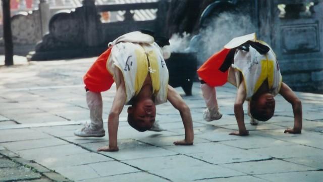Shaolin Ulysses: Kungfu Monks in America