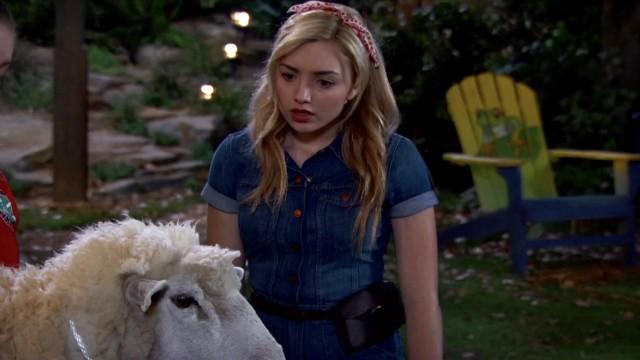 Zuri Has a Little Lamb