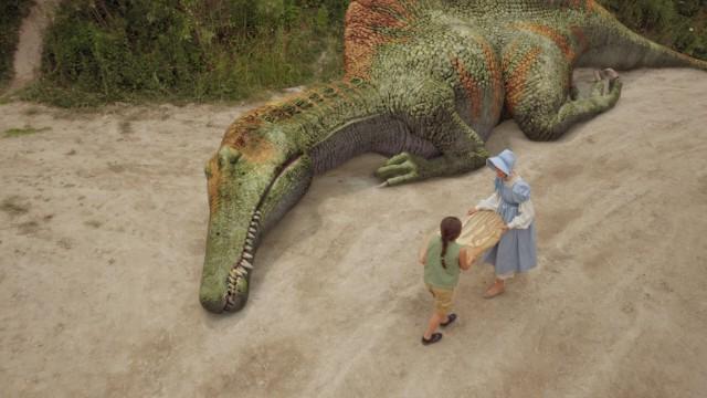 Fossil Finders / Dino Rescue Train