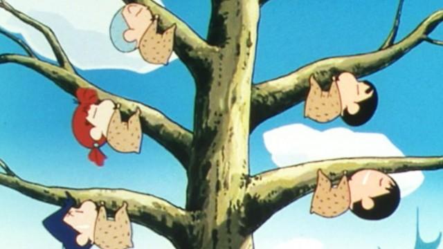 Kazama ve perezosos por todas partes / Mamá quiere una bici eléctrica / Cuidado con los ladrones