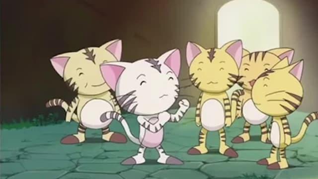 Tournament of Chasers