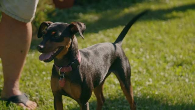 Une patrouille dérangeante