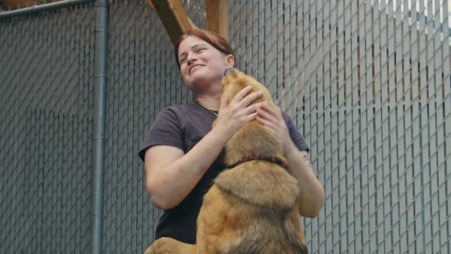 Abandonné dans une boite