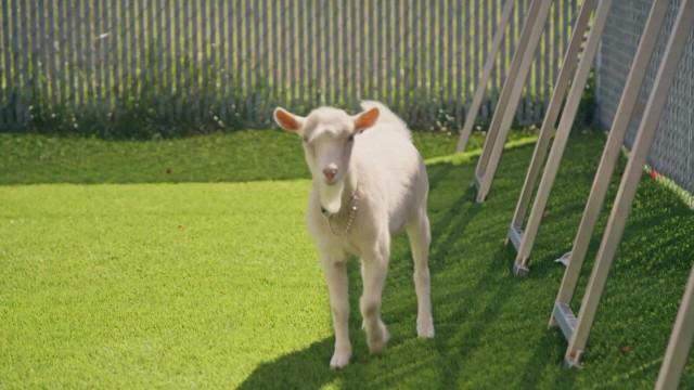 Une finale émouvante