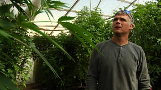 The Fight Over Medical Marijuana